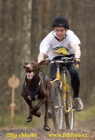 Polsko 2005 - 225.jpg